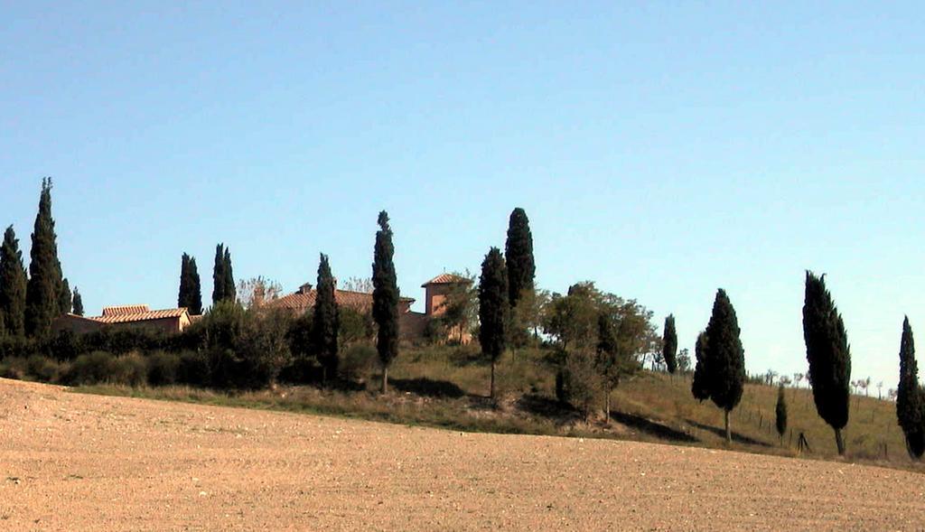 Hotel Castello di Leonina Siena Esterno foto